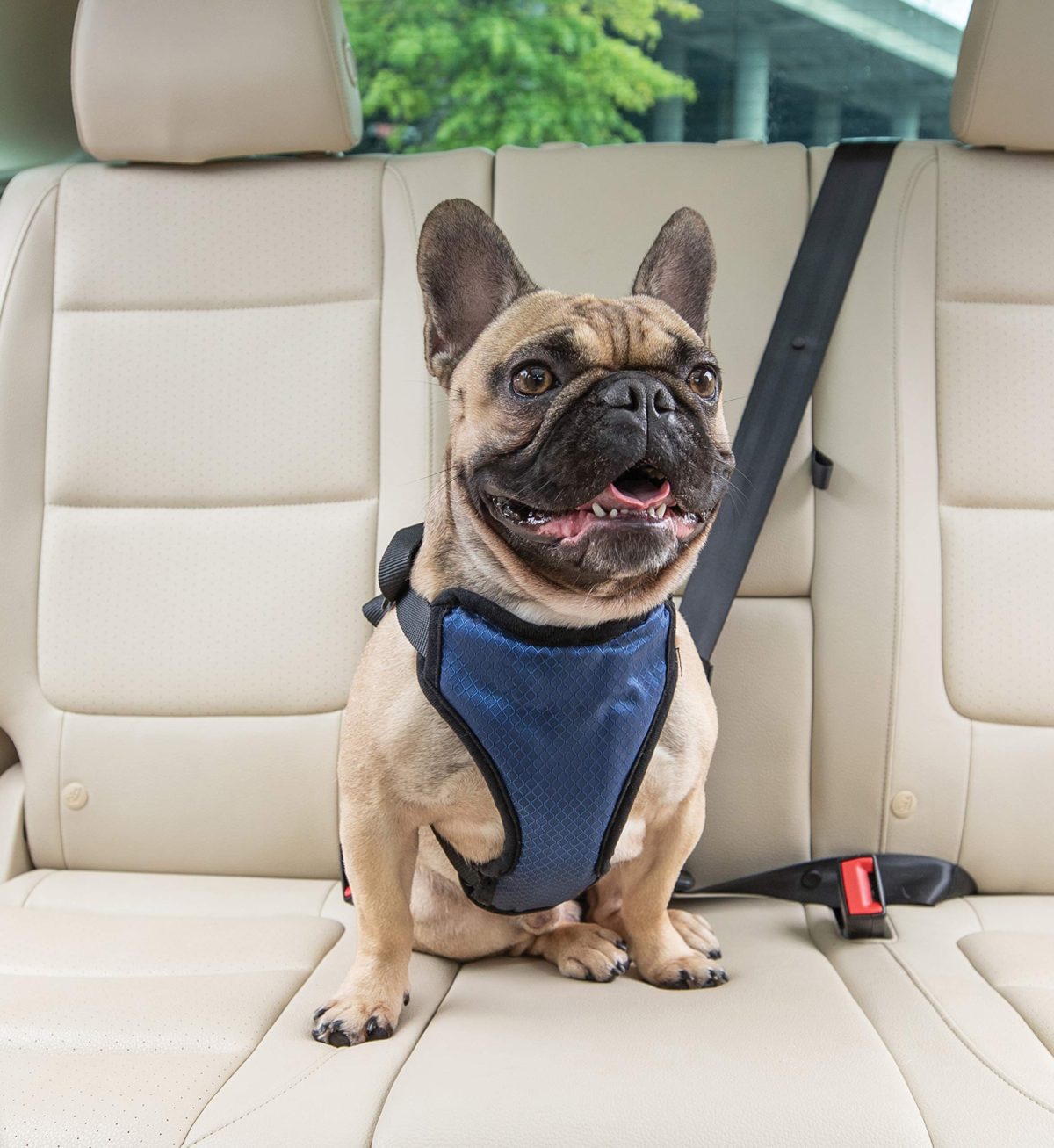 PetSafe Happy Ride Certified, Crash-Tested