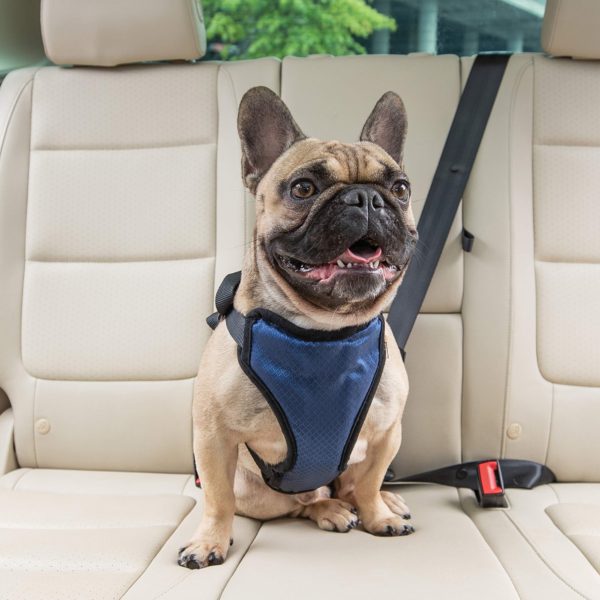 PetSafe Happy Ride Certified, Crash-Tested