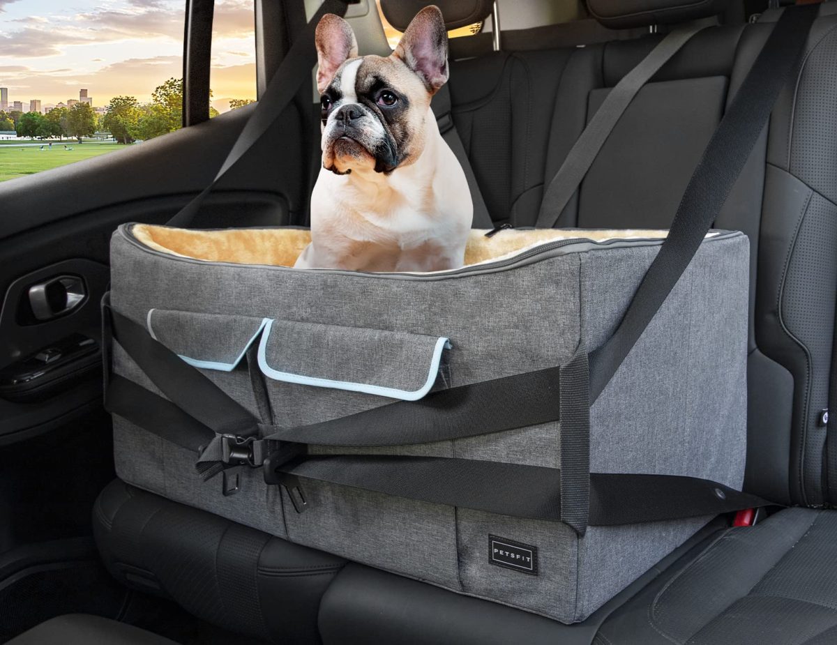 Pet Travel Car Booster Seat with Safety Belt