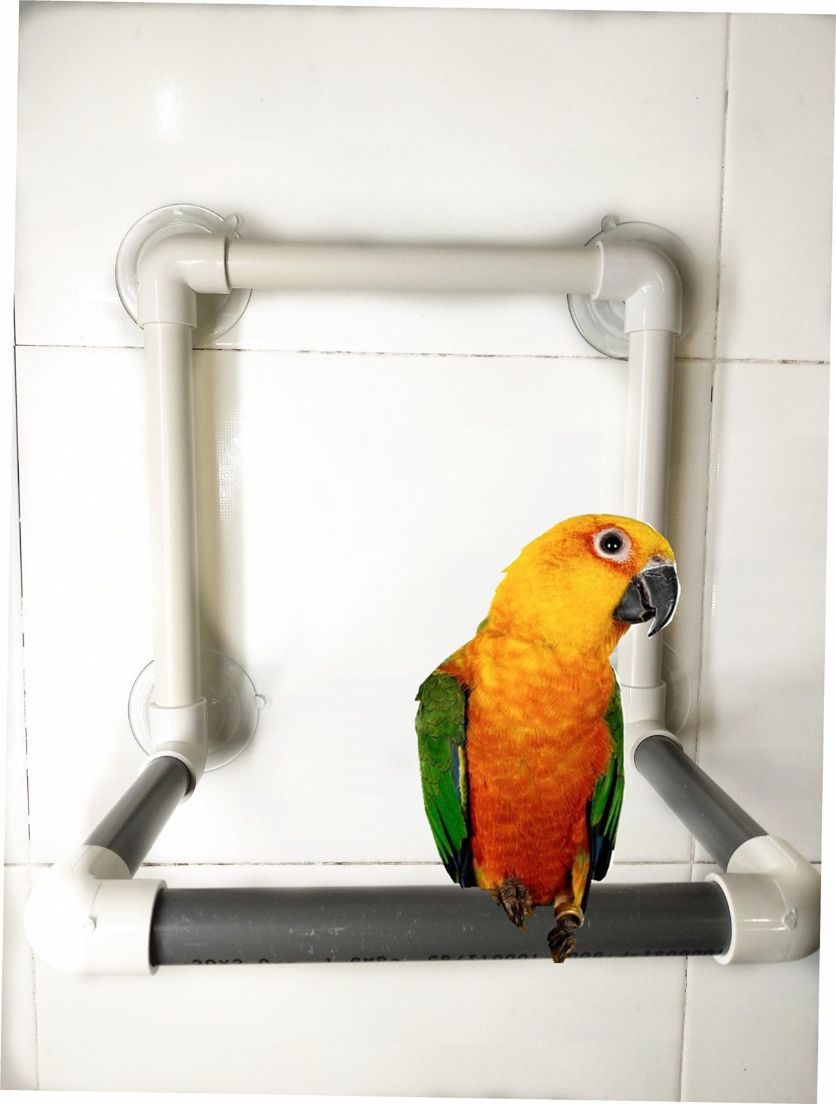 Hypeety Bird Portable Suction Cup Parrot Shower