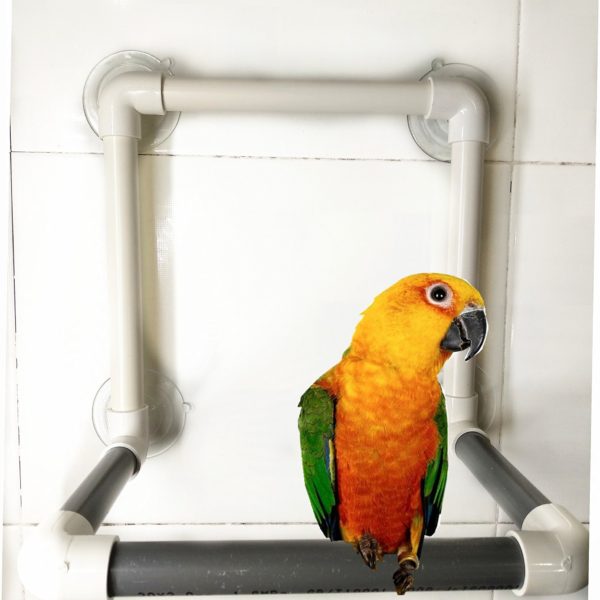 Hypeety Bird Portable Suction Cup Parrot Shower