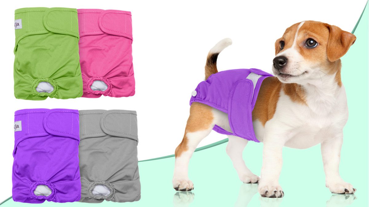 LUXJA Reusable Female Dog Diapers HOOK & LOOP CLOSURES: We adopted lengthy Hook & Loop tape to regulate the correct dimension. Such closures are fast and straightforward to safe and will not keep on with the fur. Elastic tail gap gives good match.