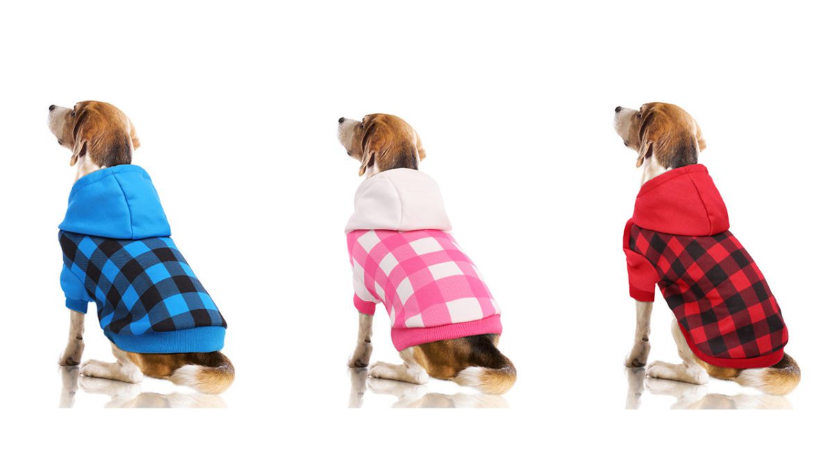 Plaid Dog Hoodie Sweater Outfit The pet garments is manufactured from premium fleece materials, which printed sample is classical plaid with completely different 3 colours to decide on together with PINK, RED & BLUE. The sweatshirts match each women and boys dog cat trying extra cute & full of life.