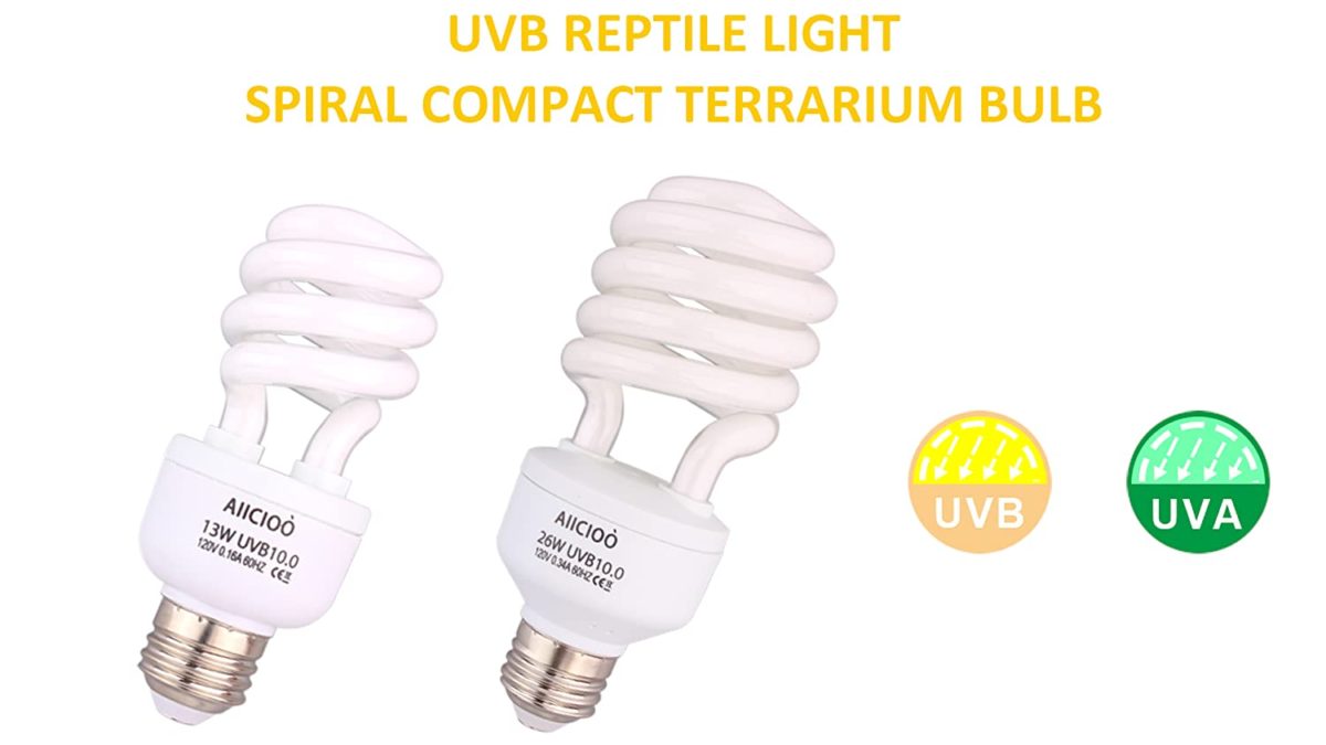 Spiral Compact Terrarium Bulb Fluorescent UVB Excessive UVB Output - UVB reptile gentle has 10% UVB and 30% UVA output just like daylight in deserts. No dangerous UVC output.