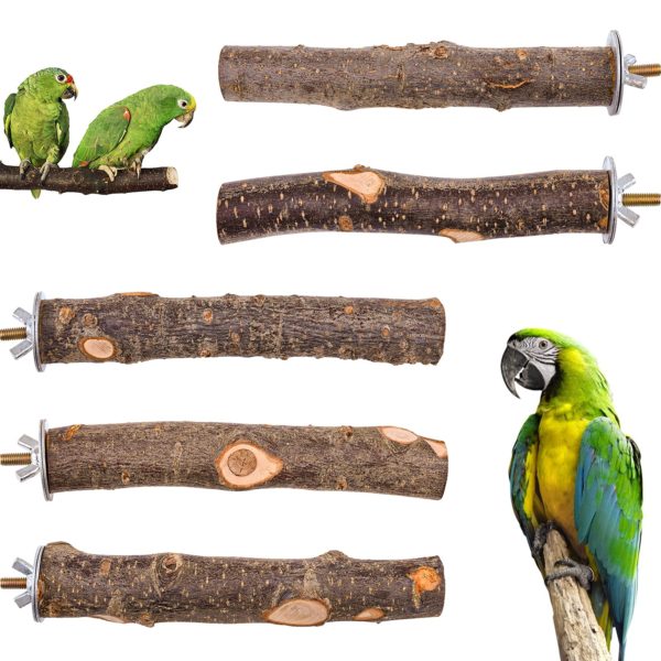 Bird Perch 5 PCS Parrot Stand Natural Wood