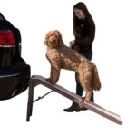Pet Gear Free Standing Pet Ramp for Cats and Dogs