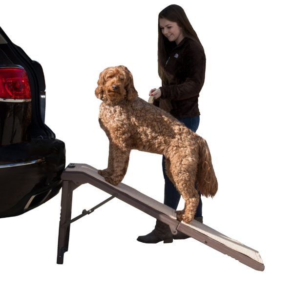 Pet Gear Free Standing Pet Ramp for Cats and Dogs