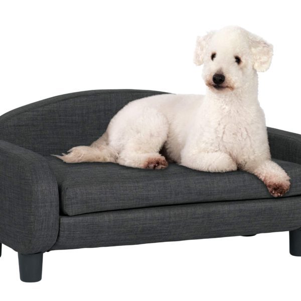 Paws & Purrs Modern Pet Sofa 31.5" Wide