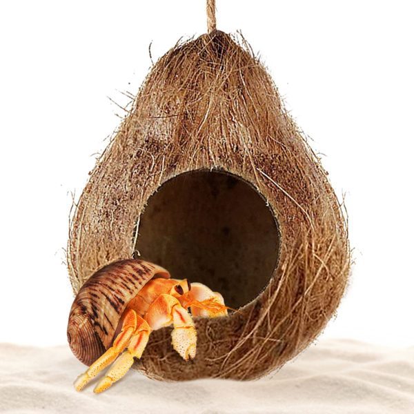 SunGrow Hermit Crab Coco Hut