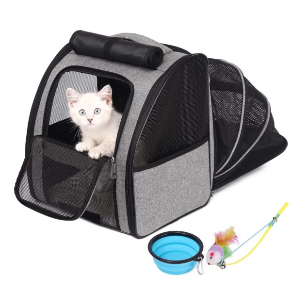 Airline Pet Carrier Backpack for Small Dogs Cats