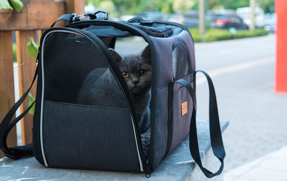 Morpilot Pet Travel Carrier Bag, Portable Pet Bag GREAT DESIGN: This transportable dog service is made from sturdy grade polyester. It may be stored in fine condition with a assist board. Meanwhile, it has a breathable mesh on all three sides to make sure regular circulation of air contained in the field. There is a small pocket on the skin of the cat service bag to retailer issues.