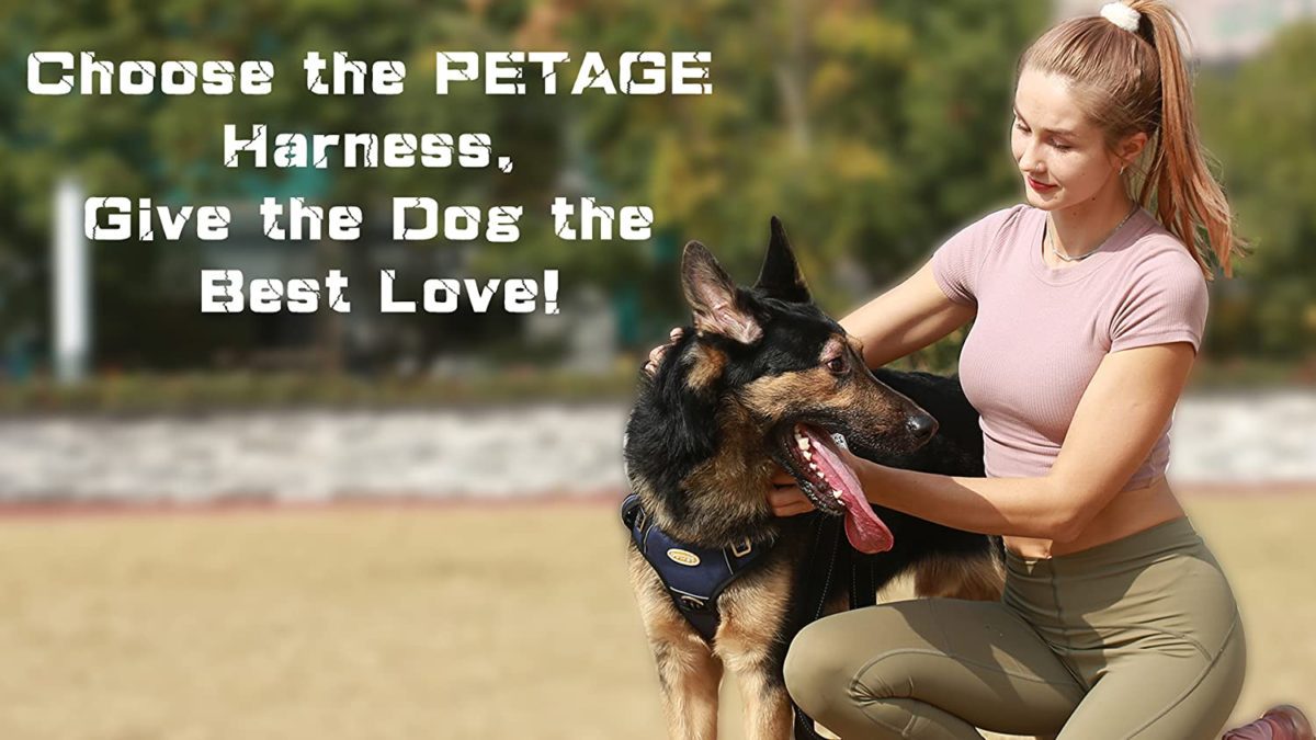 PETAGE Tactical Service Dog Harness No Pull Neck Girth: 18"-19" (45.7--73.7cm), Chest Girth: 24"-37" (61-- 94cm), Weight:45-80lbs(20.4--36.3KG). Very best for Massive Breeds akin to German Shepherd, Belgian Malinois, Golden Retriever, Huskie, Labrador, Akita, and many others. An expert working dog vest for service, police or navy dogs, but additionally good for searching and all outside companion dogs.