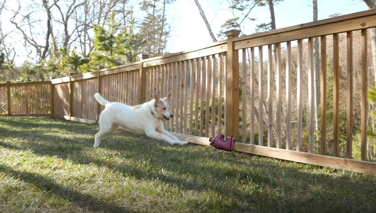 TUFFY Barnyard Animal Pig, Durable Dog Toy "World’s Tuffest Soft Dog Toy" in the marketplace, with as much as 4 layers of material!