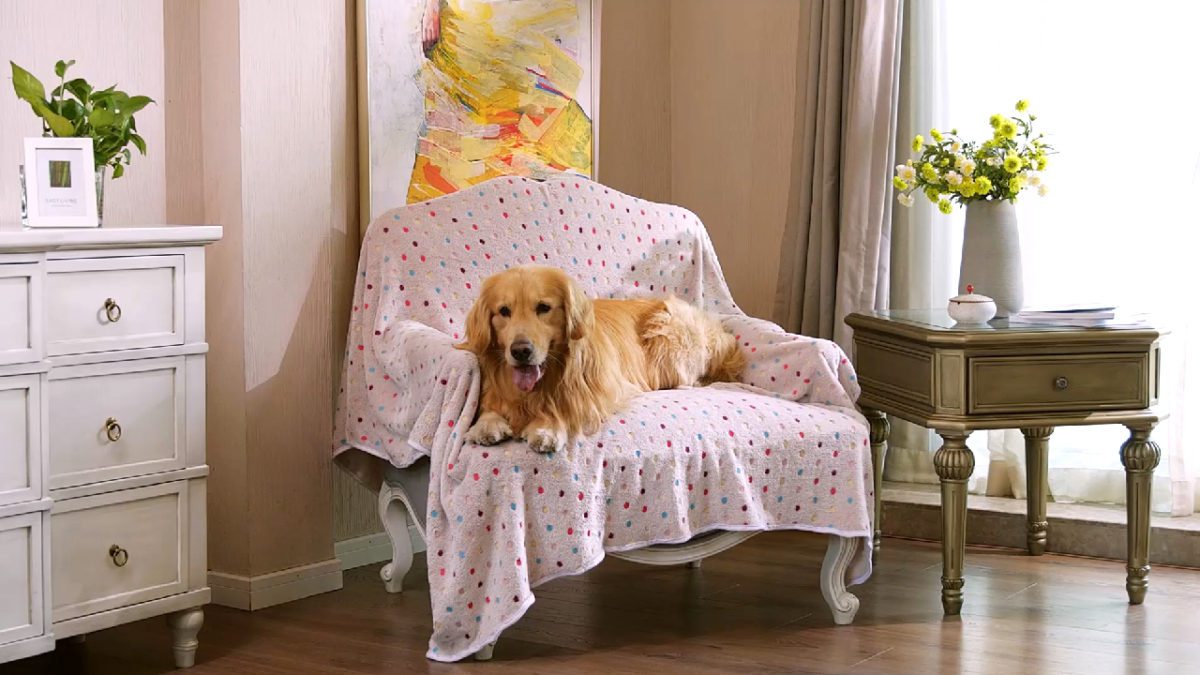 1 Pack 3 Blankets Super Soft Fluffy Premium SIZE: The small/medium/giant pet blankets include 3 covers per pack. Small: 23" x16"(60*40cm) / Medium: 30"x20"(76*52cm) / Large: 41"x31" (104*78cm).Value pack!
