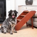 PetSafe CozyUp Folding Wood Pet Steps