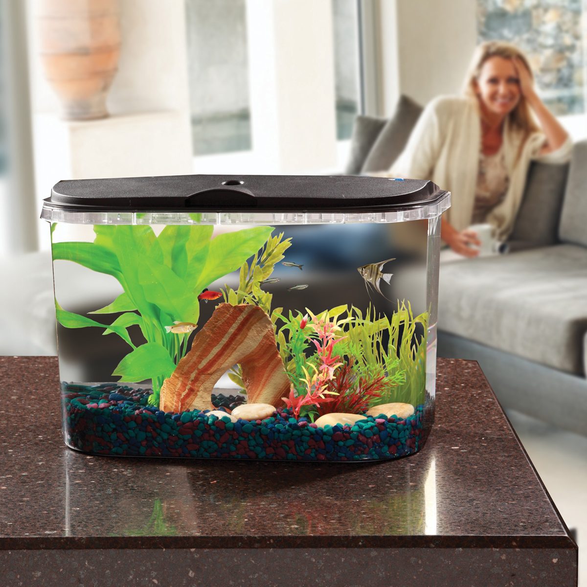 Koller Products PanaView 5-Gallon Aquarium Kit