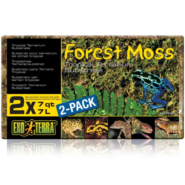 Exo Terra Forest Plume Moss