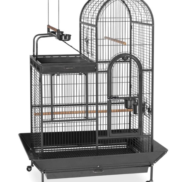 Prevue Pet Products Double Roof Bird Cage with Playtop