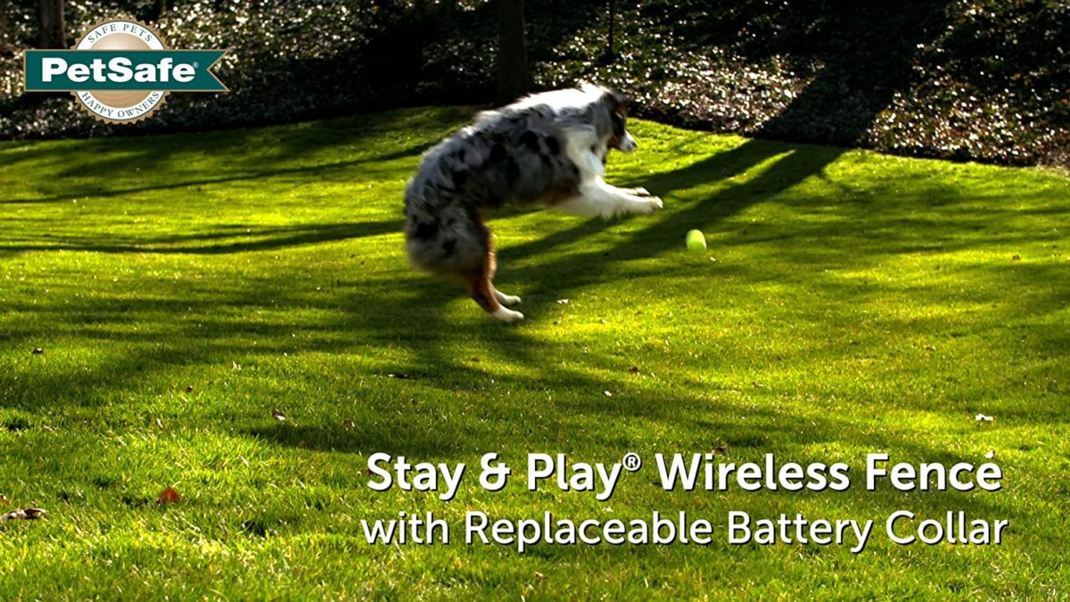 Wireless Fence with Replaceable Battery Collar Take this compact, moveable fence with you while you and your dog go tenting or journey in your RV (outlet required) With the acquisition of extra collars, this wi-fi fence permits you to safely include an infinite variety of pets with one fence system