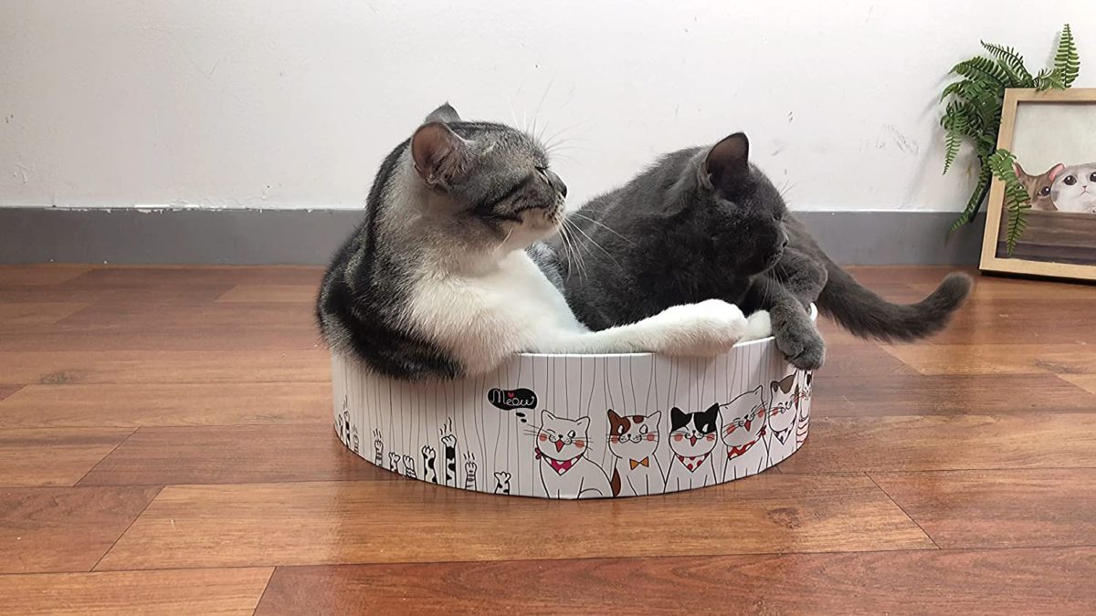 ROMOHOM Large Cardboard Cat Scratcher Bed 🐱 Sleep Supportive: Concave designed with a raised rim to softly assist the pinnacle and neck, bettering cats' sleep, play, and scratch with our spherical cat scratch mattress.