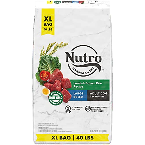 NUTRO NATURAL CHOICE Large Breed Adult Dry Dog Food