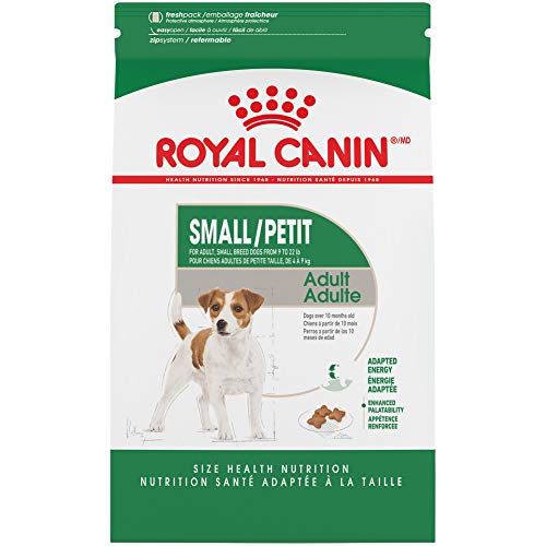 Adult Dry Dog Food Royal Canin