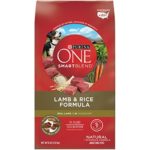 Purina ONE Natural Dry Dog Food