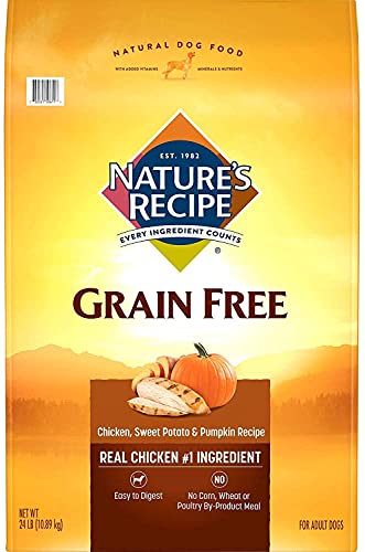 Nature's Recipe Grain Free Dog Food, Chicken