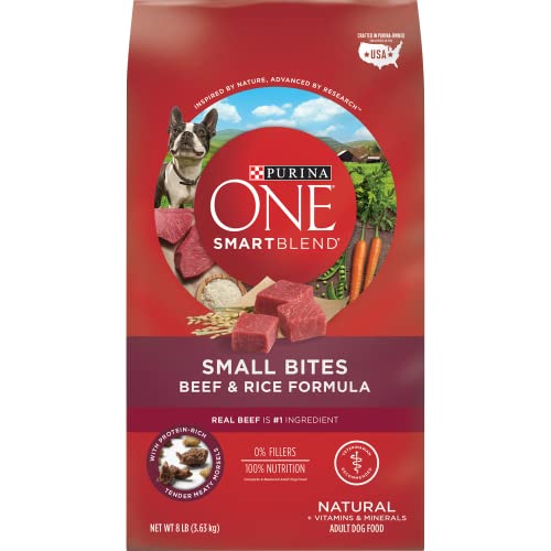 Beef & Rice Natural Dry Dog Food