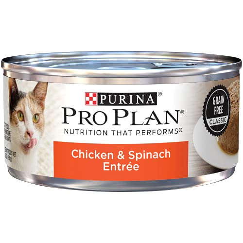 Purina Pro Plan Grain Free Pate Wet Cat Food