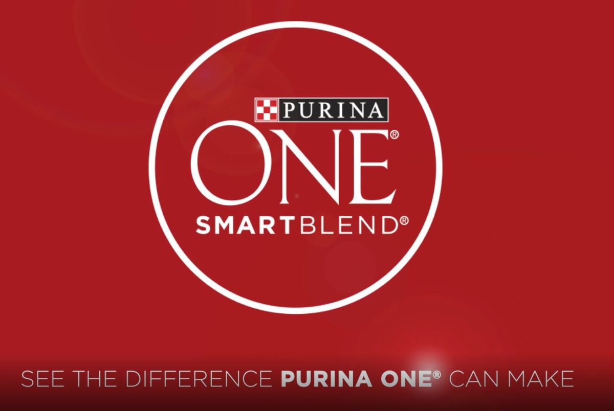 Purina ONE High Protein Natural Dry Dog Food One (1) 27.5 lb. Bag - Purina ONE Excessive Protein Pure Dry Canine Meals, SmartBlend True Intuition With Actual Salmon & Tuna