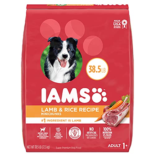 IAMS Minichunks Adult Dry Dog Food Lamb