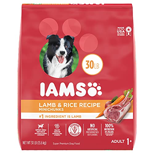 Lamb & Rice Recipe Dog Kibble