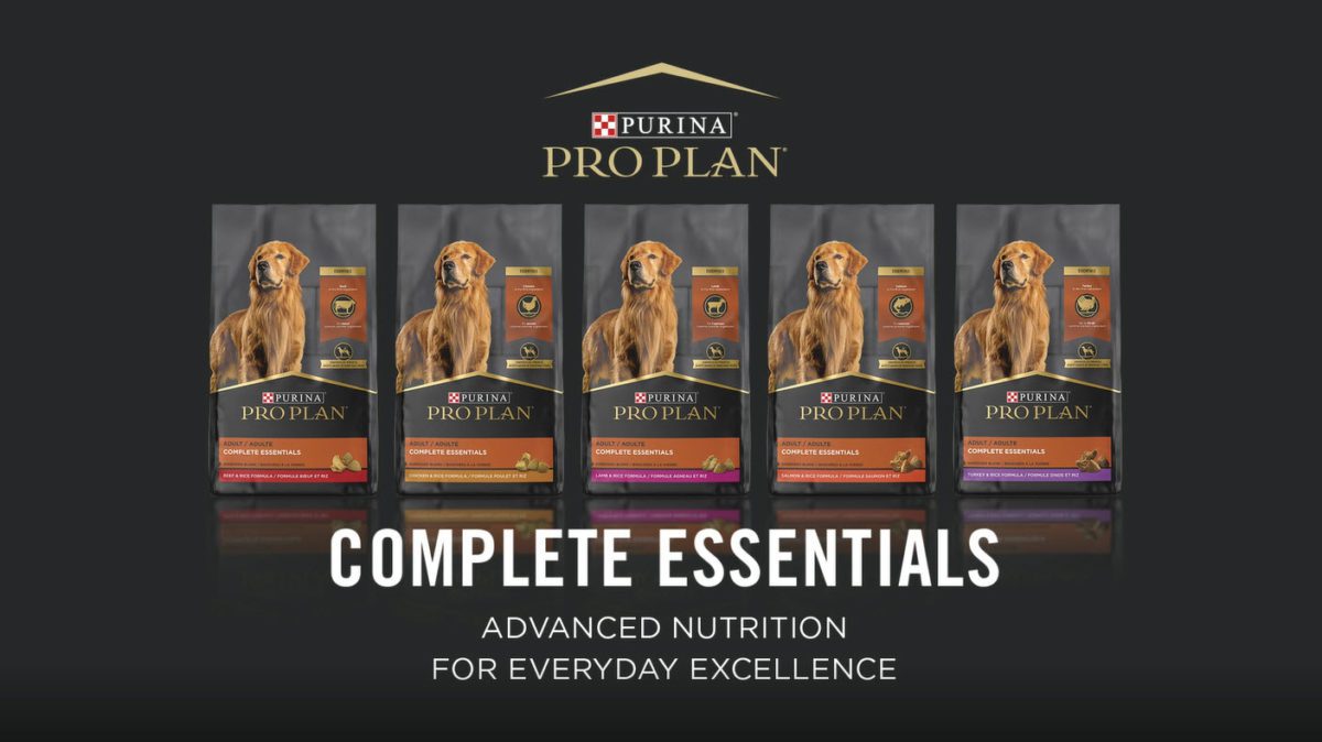 Purina Pro Plan High Protein Dog Food One (1) 35 lb. Bag - Purina Professional Plan Excessive Protein Canine Meals With Probiotics for Canine, Shredded Mix Rooster & Rice System