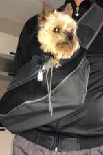 Travel Dog Shoulder Bag Mesh