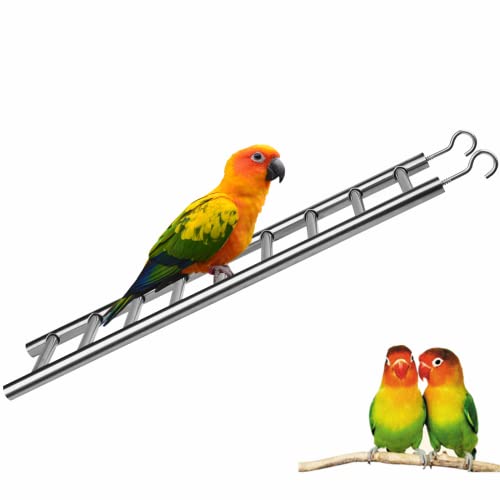 Provide Your Parrots with a Safe and Durable 9-Step Stainless Steel Ladder - Rustproof, Nonskid, and Portable!