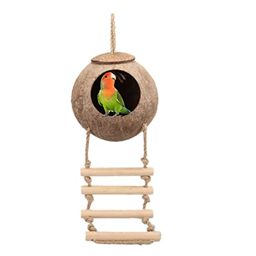 Coconut Bird Nest with Ladder - Natural and Eco-Friendly