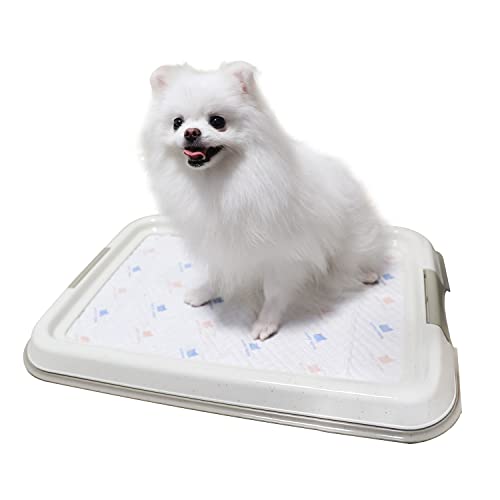 Sturdy and Convenient Pet Pad Holder - Ideal for Training Pads, Pee Pads and More - Measures 19.2"x14.