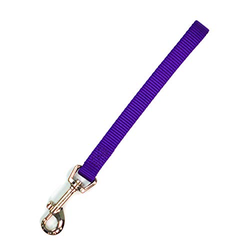 9 Inch Obedience & Agility Training Lead - Blue-9 Canine Training Leash, Made in USA, in Eye-catching Purple Color.