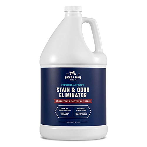 Enzyme-Powered Stain & Odor Eliminator