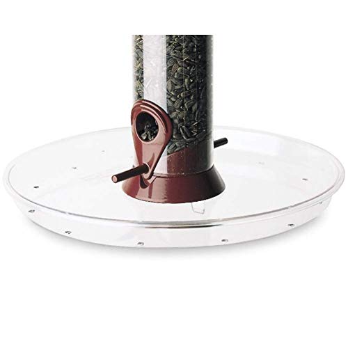 Upgrade Your Bird Feeding Station with Droll Yankees 10.5-Inch Diameter Chicken Feeder Tray - The Perfect Seed Catcher Accent Attachment!