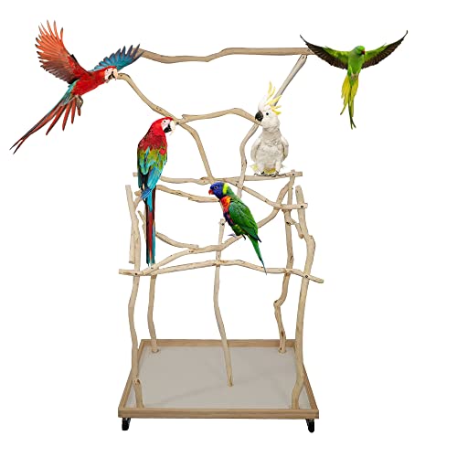 Give Your Small Parrot the Perfect Perching Place with Custom-made Wooden Perches on a Compact Stand - Ideal for Cockatoo, Birds, and Macaws - 2ft x 2.85ft Base, 4ft Height.