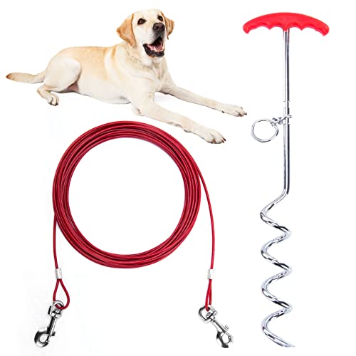 Heavy Duty Rust-Proof Dog Tether with Stake - 25ft Outdoor Training Leash for Camping & Yard, for Small to Medium Dogs Up to 60 lbs.