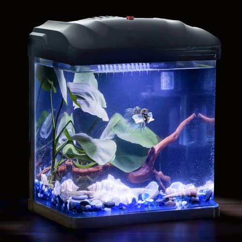 Crystal Clear Glass Betta Fish Tank Kit - Self-Cleaning
