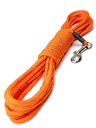 Mighty Paw Check Cord: Ultimate 30-Foot Dog