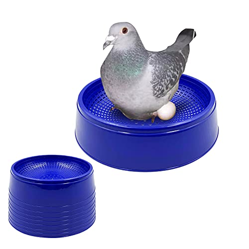 Race to Comfort: Elevate Breeding with 8PCS Racing Pigeon