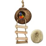 Hanging Bird House with Ladder made from natural coconut fiber, ideal for breeding and nesting for small birds like parrots, lovebirds, and finches