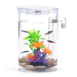 1-gallon 360-degree Betta fish tank with LED lights and self-cleaning feature, perfect for home or office decor