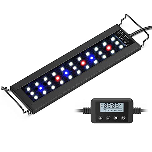 Your Aquarium with the Ultimate LED Lighting Solution