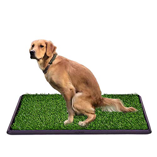 Premium Indoor Turf Dog Potty Pad - Portable Pet